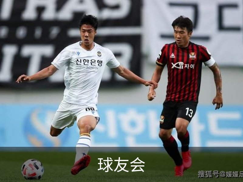 球友会简介